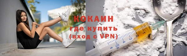 трава Бородино