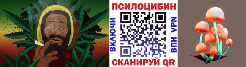 Галлюциногенные грибы Psilocybine cubensis Купить Нефтегорск
