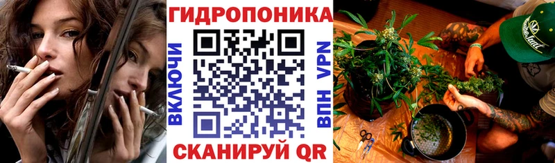 Купить где  Нефтегорск  Бошки марихуана MAZAR 